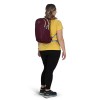 SAC Polivalent Daylite Osprey - Moody Burgundija