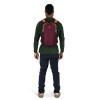 SAC Polivalent Daylite Osprey - Moody Burgundija