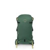 Firn 28 Osprey -Tundra Green
