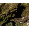 Hastighet 6 Oscrey - Livsstils ryggsäck