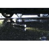 Mini llanterna LED Maglite AAA