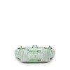BASS LUMBAR WOMAN TEMPEST 6 Osprey - GROSTY MINT GREEN/BOTANICA
