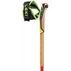 Mountain Ski Mountaine stokt mezza race leki