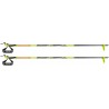 Leki Mezza Train Sticks