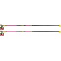 Bâtons PRC 750 Leki