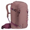 Freerider Pro Backpack 30+10 SL Deuter -Ashrose -Cassis