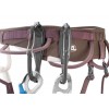 Porte-outils/porte-broches Caritool Evo Petzl