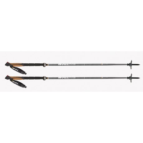 Bâtons de ski Ortles Carbon Skitrab