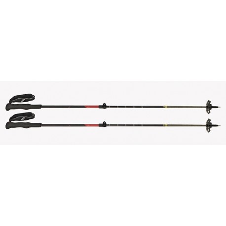 Bâtons Magico 16/14 Carbon Skitrab