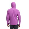 Tekniset alusvaatteet Coefficient Storm Full-Zip Hoody Black Diamond - Piton Purple