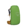 Kyte 38 Osprey Backpack - Eorna Donn