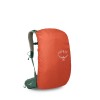 Stratos 24 Osprey Backpack - New Design - Pine Leaf Green