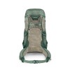 Stratos 36 Osprey Backpack - New Design - Pine Leaf Green