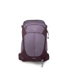 Mochila Sirrus 24 Osprey - Novo Design - Roxo Dusk