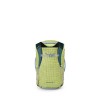 Sac Transporter 40 Duffel Osprey - Glow Dew/Torrent Blue