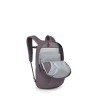 Sac Farpoint Fairview Travel Daypack Osprey - grafitno ljubičasta