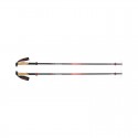 Bâtons Pursuit Carbon FLZ Poles Black Diamond