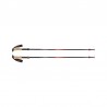 Bâtons Pursuit Carbon FLZ Poles Black Diamond