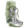 AirContact Lite 45 + 10 SL Deuter - Backpack Grove -ivy