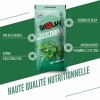 Baouw Energy Drink