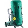 Sac de randonnée Aircontact Lite 35+10 SL Deuter - Vert Alpin/Vert Forêt