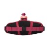 Ceinture Podium Flow 2 Camelbak