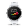 Reloj Forerunner 165/165 Música Garmin