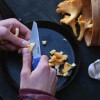 Couteau FieldChef Pocket Primus
