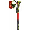 Bâtons de ski de course WCR Pro SL TR Leki
