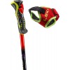 Bâtons de ski de course WCR Pro SL TR Leki