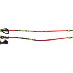 Bâtons de ski de course enfant WCR Evo Lite GS TR Leki