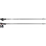 Bâtons de ski alpin ultralégers Carbon 14 TR Leki