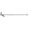 Carbon Whippet Black Diamond Steep Hill Ski Touring Bastoiak