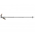 2019 Black Diamond Whippet Stick