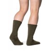 Chaussettes Woolpower Socks 600 - furugrön