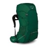 Mochila Osprey Rook 65 Grande Volume - Verde Mallard