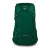 Mochila Osprey Rook 65 Grande Volume - Verde Mallard