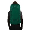 Mochila Osprey Rook 65 Grande Volume - Verde Mallard