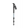 Guidetti Altitude V2 Poles - Cushioned Tip