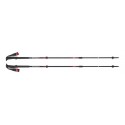 Bâtons Trail Pro Black Diamond