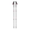 Bâtons de grandes randonnées Trail Pro Black Diamond