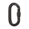 Mousqueton Oval Keylock Screwgate Black Diamond - Dubh