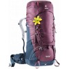 Deuter Aircontact 50+10 SL vandringsväska för dam - Blackberry/Navy