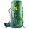 Deuter Aircontact 60+10 SL vandringsväska för dam - Grön/Skog