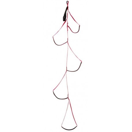 Drabina z paskiem Black Diamond Alpine Aider