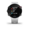 Vorläufer 45 Small Blanche Garmin