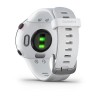 Vorläufer 45 Small Blanche Garmin