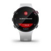 Vorläufer 45 Small Blanche Garmin