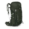 2019 Osprey Talon 33 Rucksak - Yerba Green