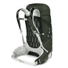 2019 Osprey Talon 33 Rucksak - Yerba Green